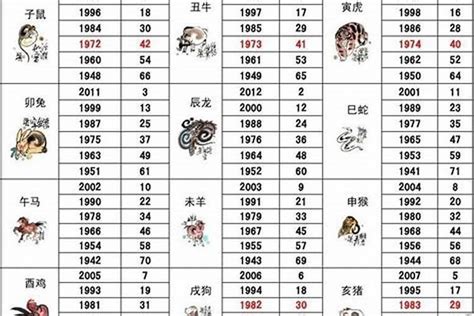 92年属相